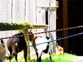 5 tips voor een actieve familievakantie in Beieren 5 tips voor een actieve familievakantie in Beieren