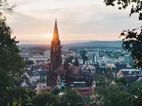 Freiburger Münster Freiburger Münster