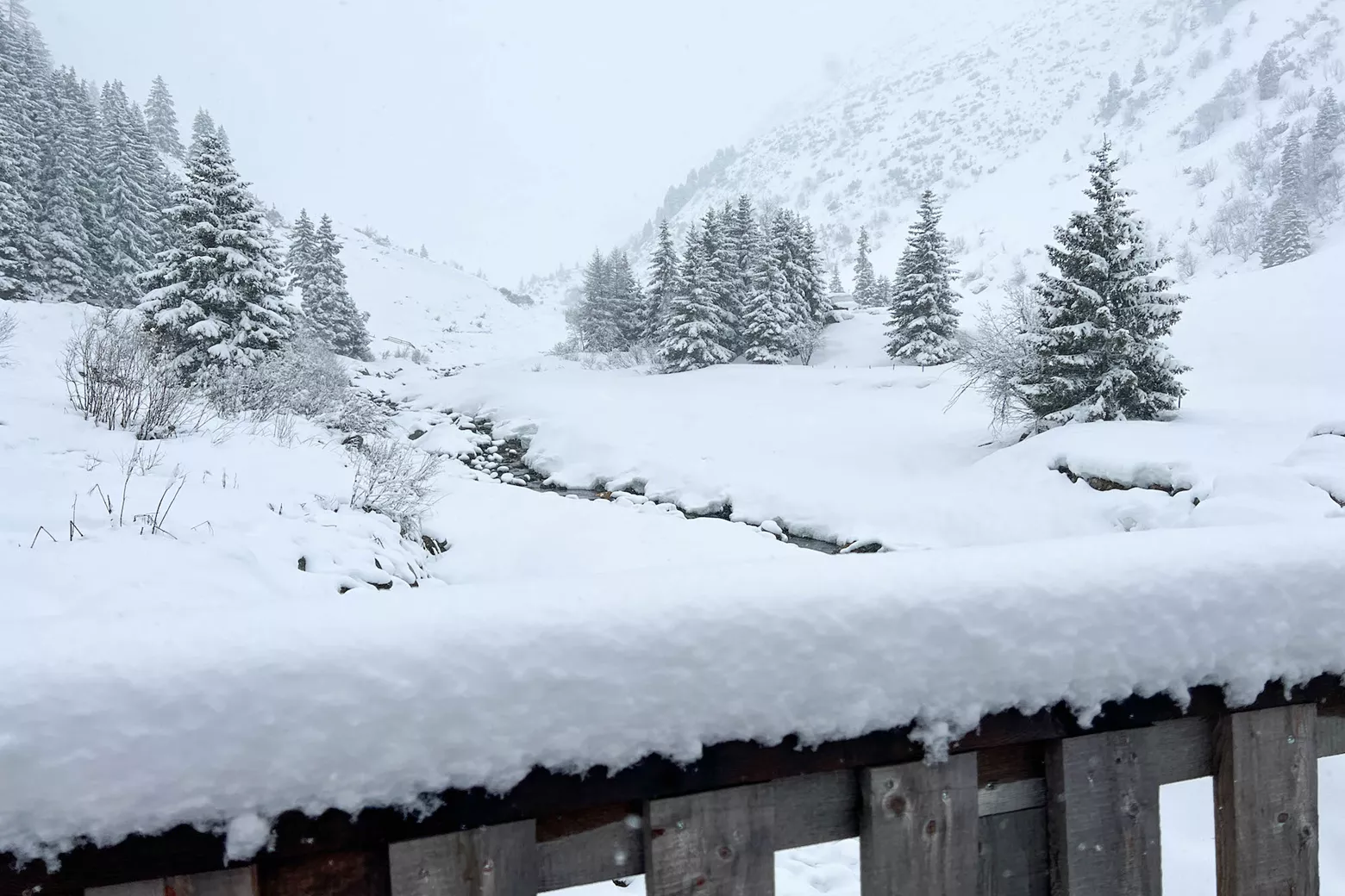 Cold Alpine Alpine weather: wintry cold with occasional fresh snow