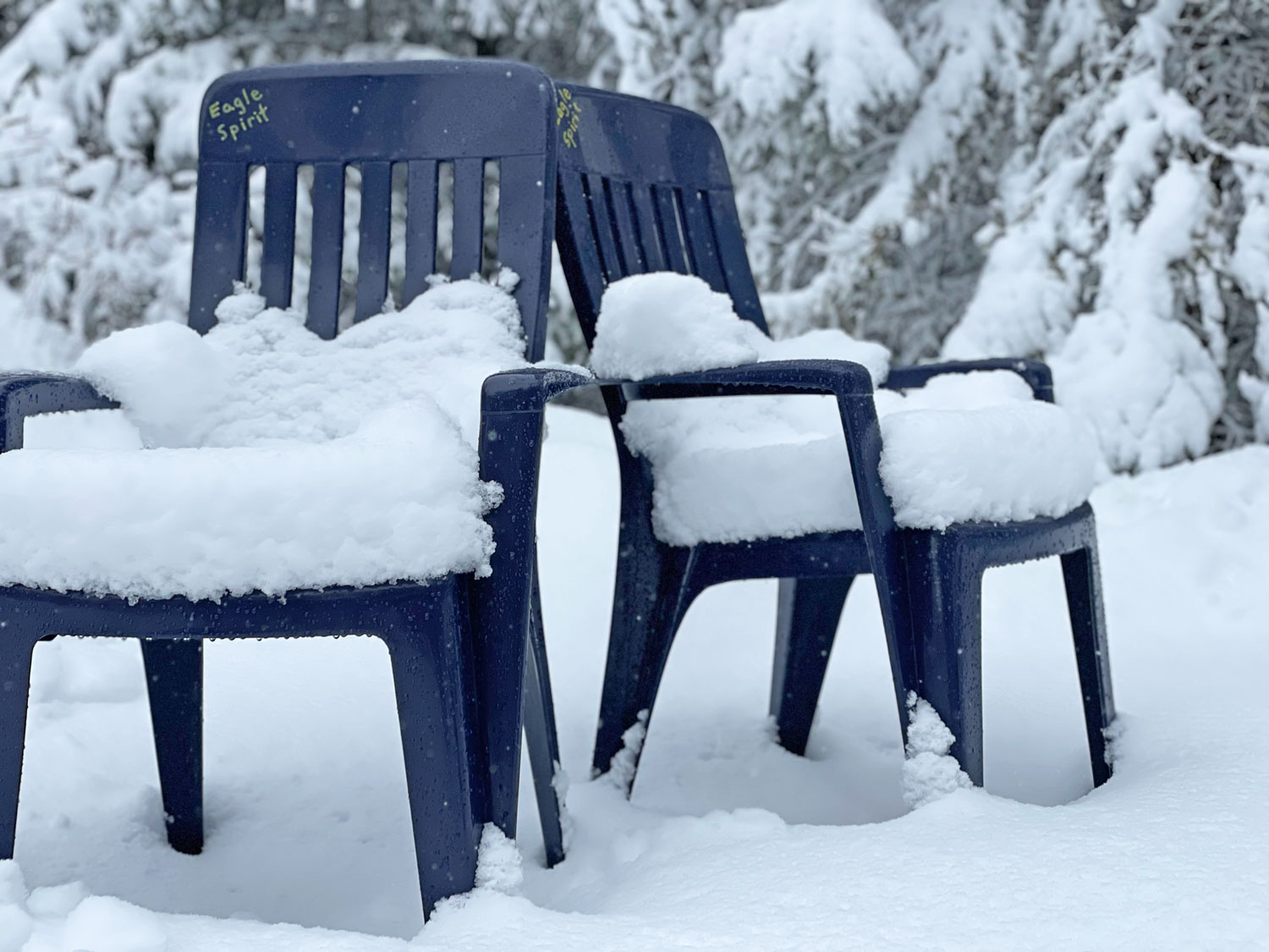 54366 - Alpenweer: winters weekend met (heel) veel sneeuw (11)