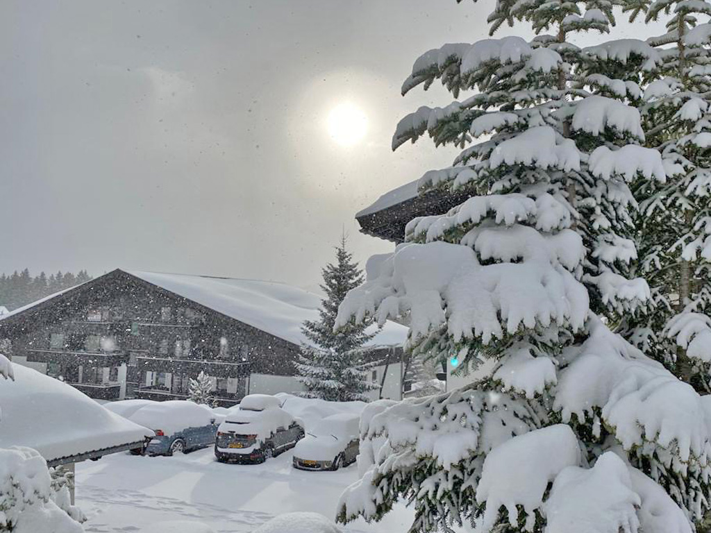 51913 - Alpenweer: sneeuwval houdt aan! (3)
