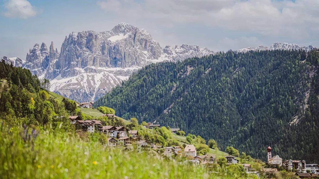 Tiers Am Rosengarten 7 Tiers Am Rosengarten 7