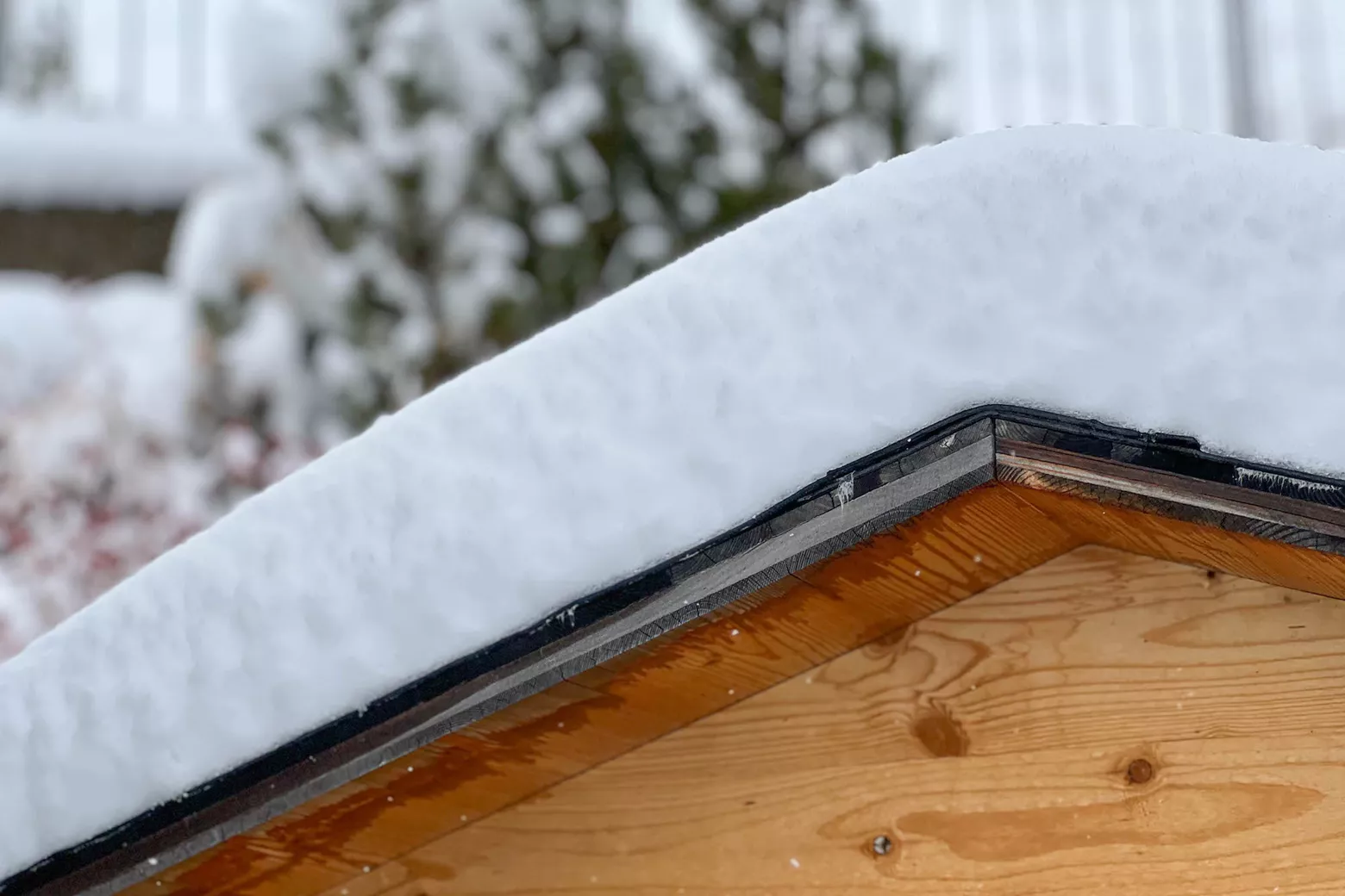 Alpine Weather Alpine weather: fresh snow, followed by some warmer days