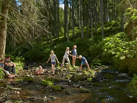 Wandelen met kinderen: 5 themawandelpaden in het Zwarte Woud Wandelen met kinderen: 5 themawandelpaden in het Zwarte Woud