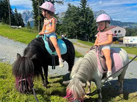 Astberg Pony Alm in Going Astberg Pony Alm in Going