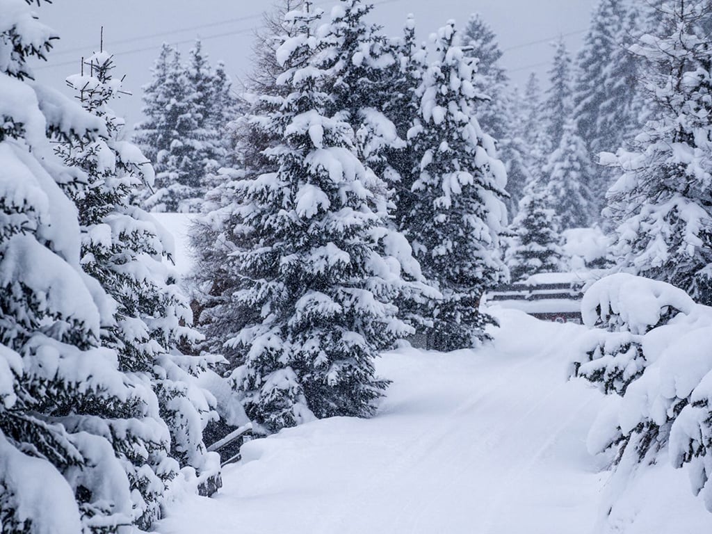 53062 - Alpenweer: opnieuw een flink pak sneeuw voor de Alpen (3)