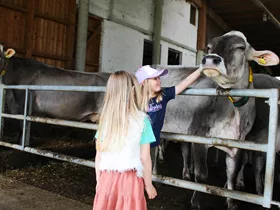 10 leuke vakantieboerderijen in Oostenrijk 10 leuke vakantieboerderijen in Oostenrijk