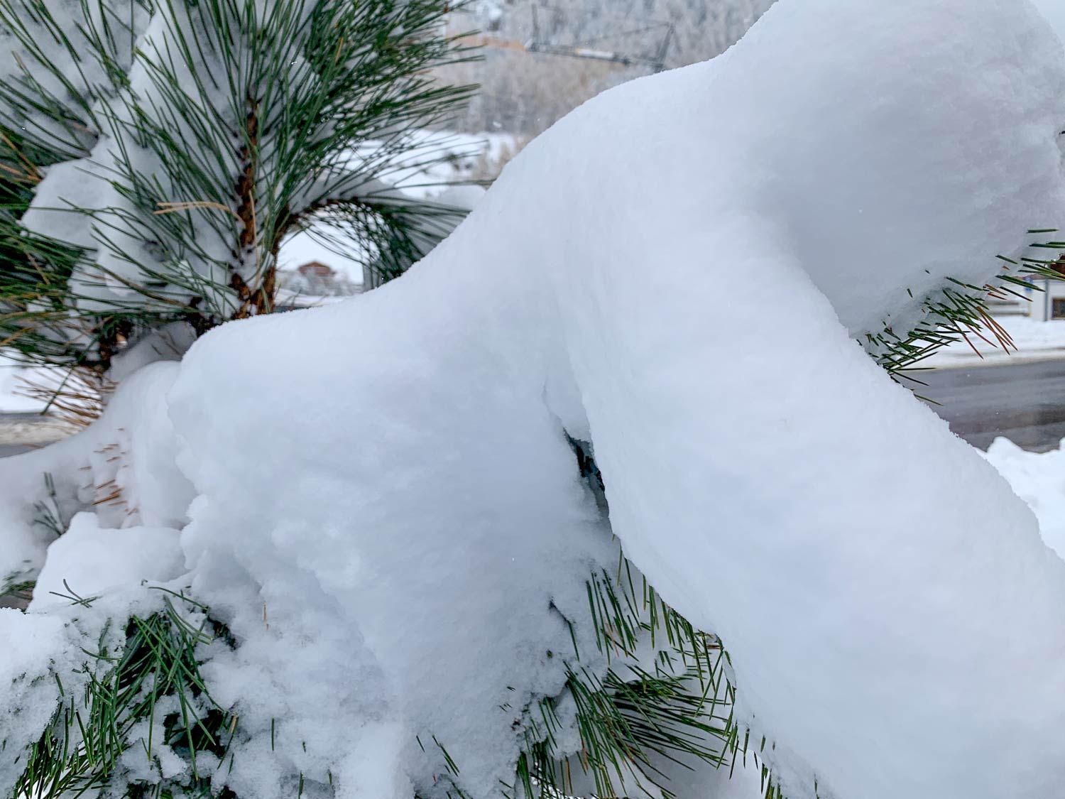 53844 - Alpenweer: nog meer sneeuw onderweg (3)