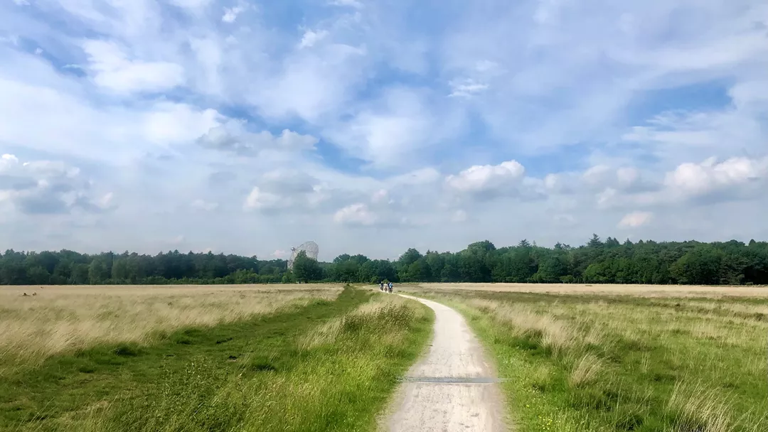 Dwingeloosche Heide Dwingeloosche Heide