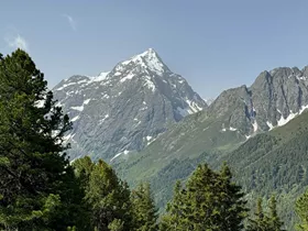 20% meer bergongelukken, gewonden en slachtoffers in Oostenrijk 20% meer bergongelukken, gewonden en slachtoffers in Oostenrijk