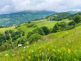 Wandelen in de Vogezen: 6 mooie routes Wandelen in de Vogezen: 6 mooie routes