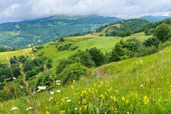 Wandelen in de Vogezen: 6 mooie routes Wandelen in de Vogezen: 6 mooie routes