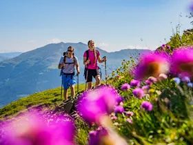 Turracher Höhe: ontdek dit bergparadijs op 1763 meter hoogte Turracher Höhe: ontdek dit bergparadijs op 1763 meter hoogte