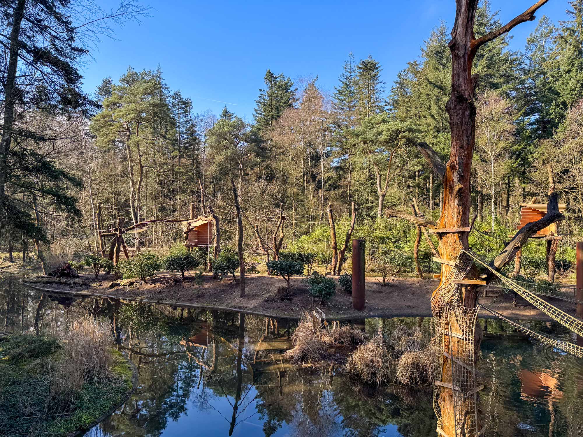 Dierentuin