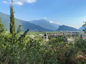 Berenfamilie loopt door tuin bij Gardameer Berenfamilie loopt door tuin bij Gardameer