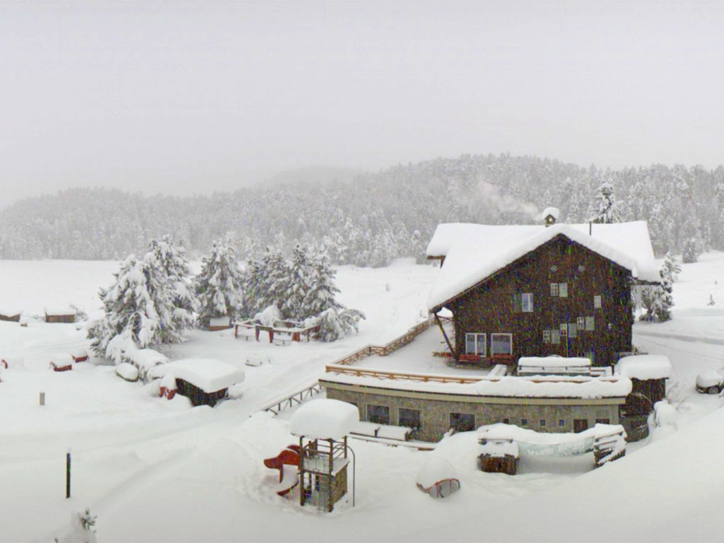 51322 - Sneeuwbeelden Alpen + Winterberg: er komt geen einde aan! (3)