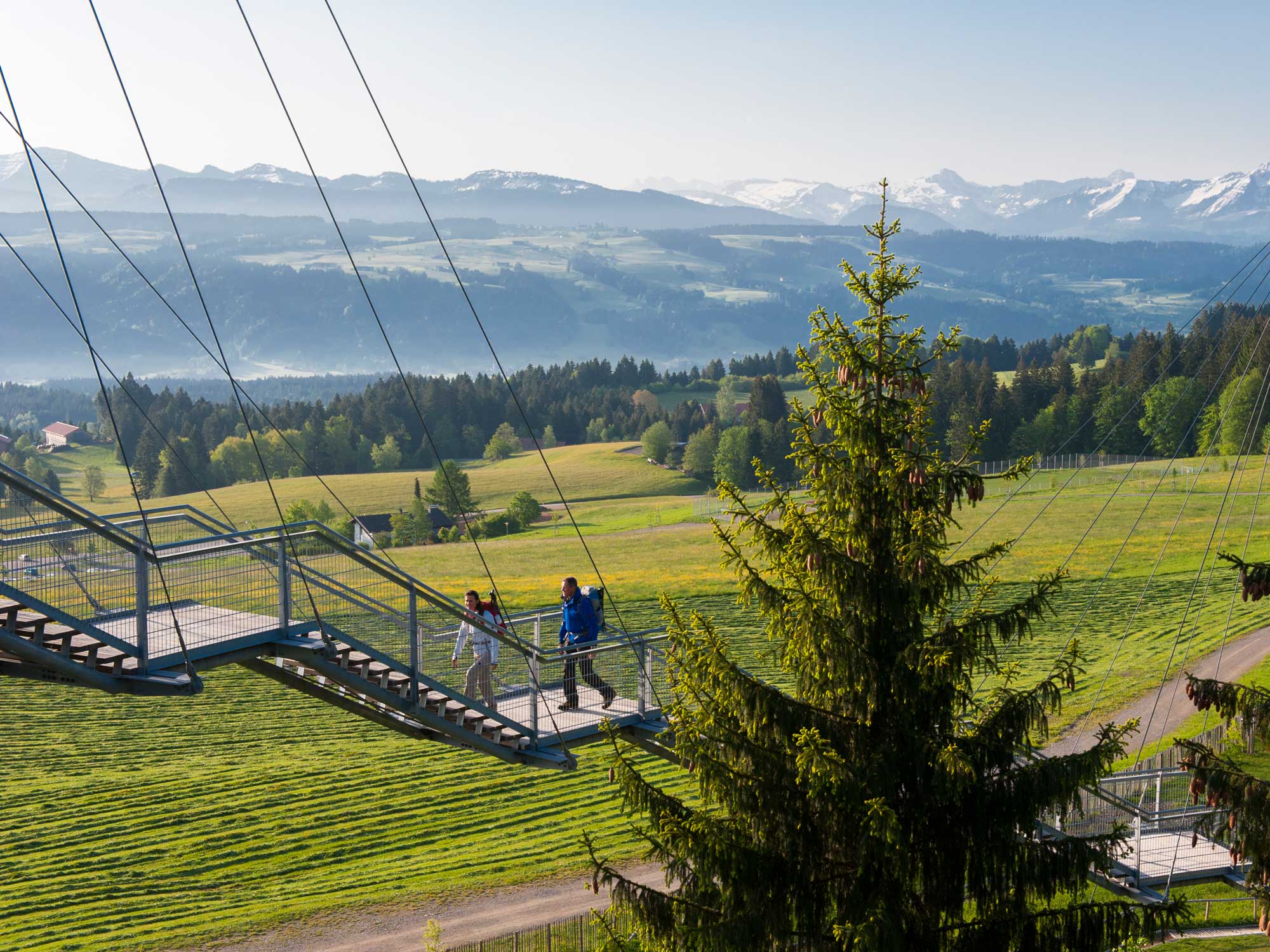 Skywalk Allgau Rezensionen