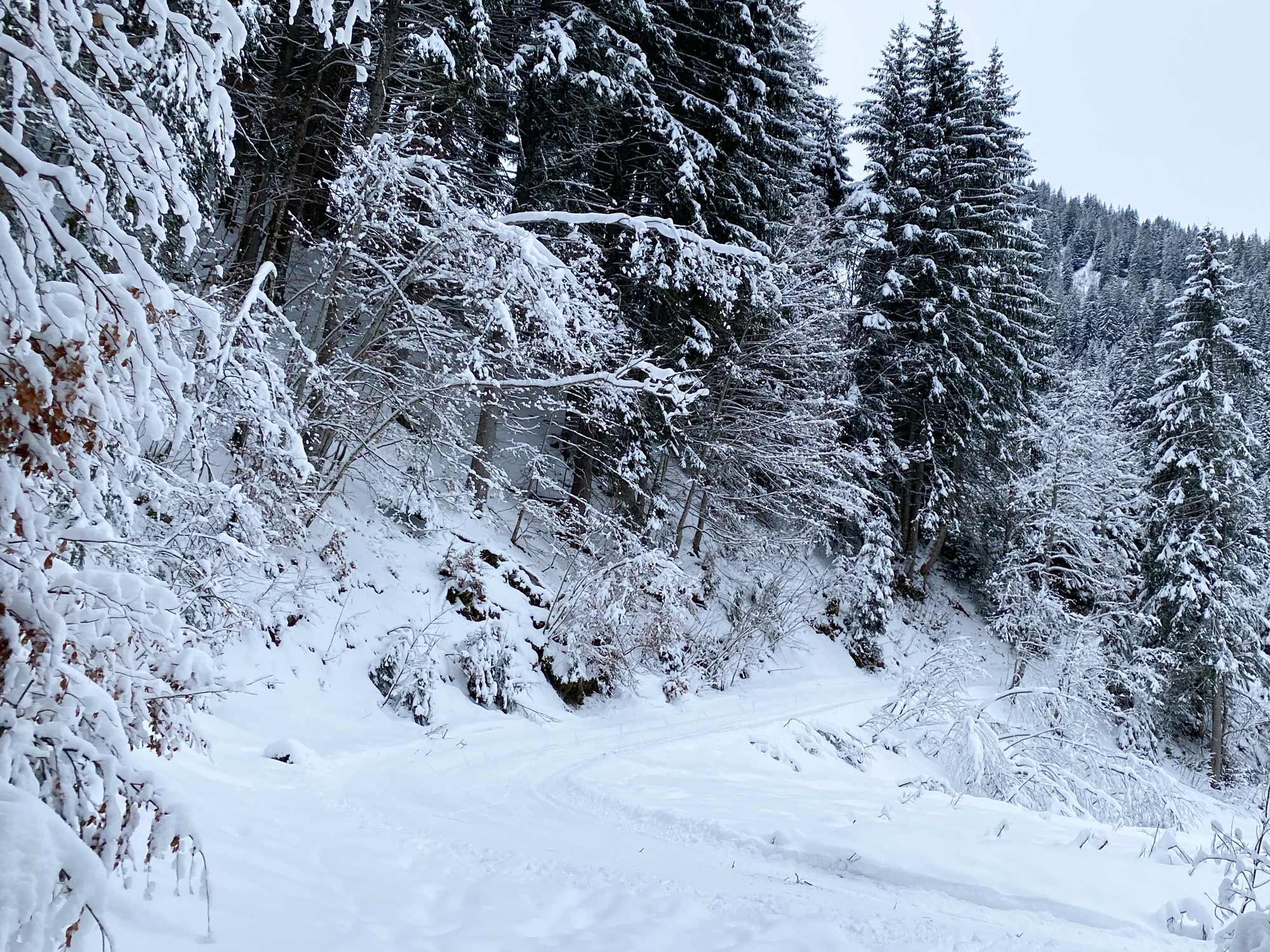 Sneeuwpad