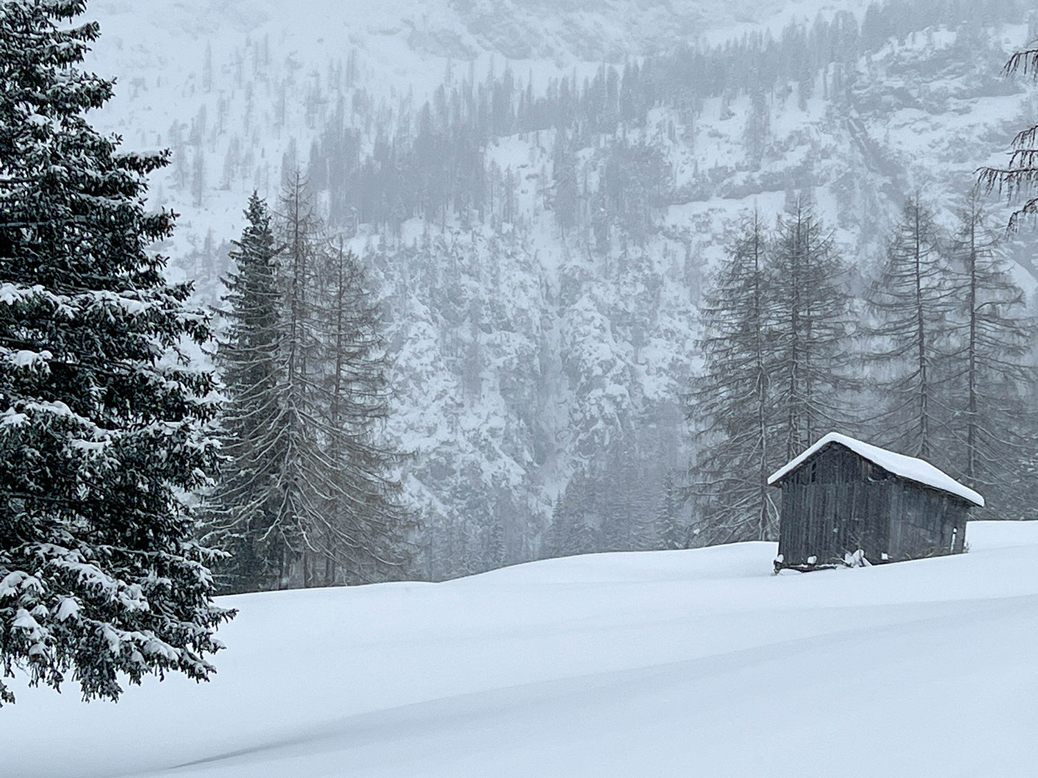 53968 - Alpenweer: sneeuw en kou op weg naar de Alpen (3)