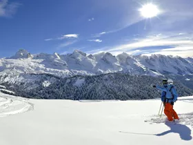 Ski nordique : la nouvelle tendance très économique ! Ski nordique : la nouvelle tendance très économique !