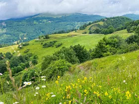 Wandelen in de Vogezen: 6 mooie routes Wandelen in de Vogezen: 6 mooie routes