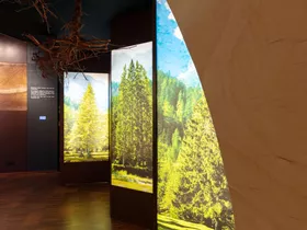 FeuerWerk & HolzErlebnisWelt FeuerWerk & HolzErlebnisWelt