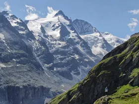 Großglockner Großglockner