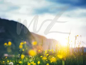 meiZeit Lodge meiZeit Lodge