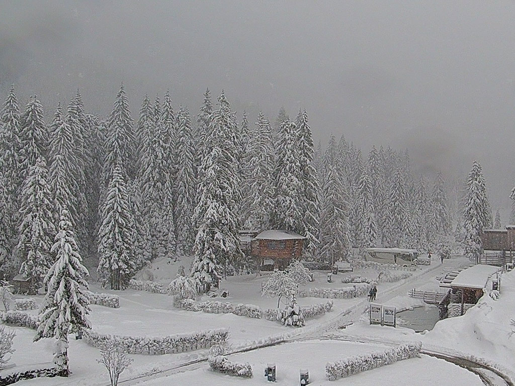 50472 - Webcambeelden: wakker worden met een flinke laag verse sneeuw in mei (2)