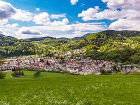 Schönau im Schwarzwald Schönau im Schwarzwald