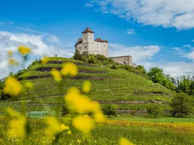 Burg Gutenberg Burg Gutenberg
