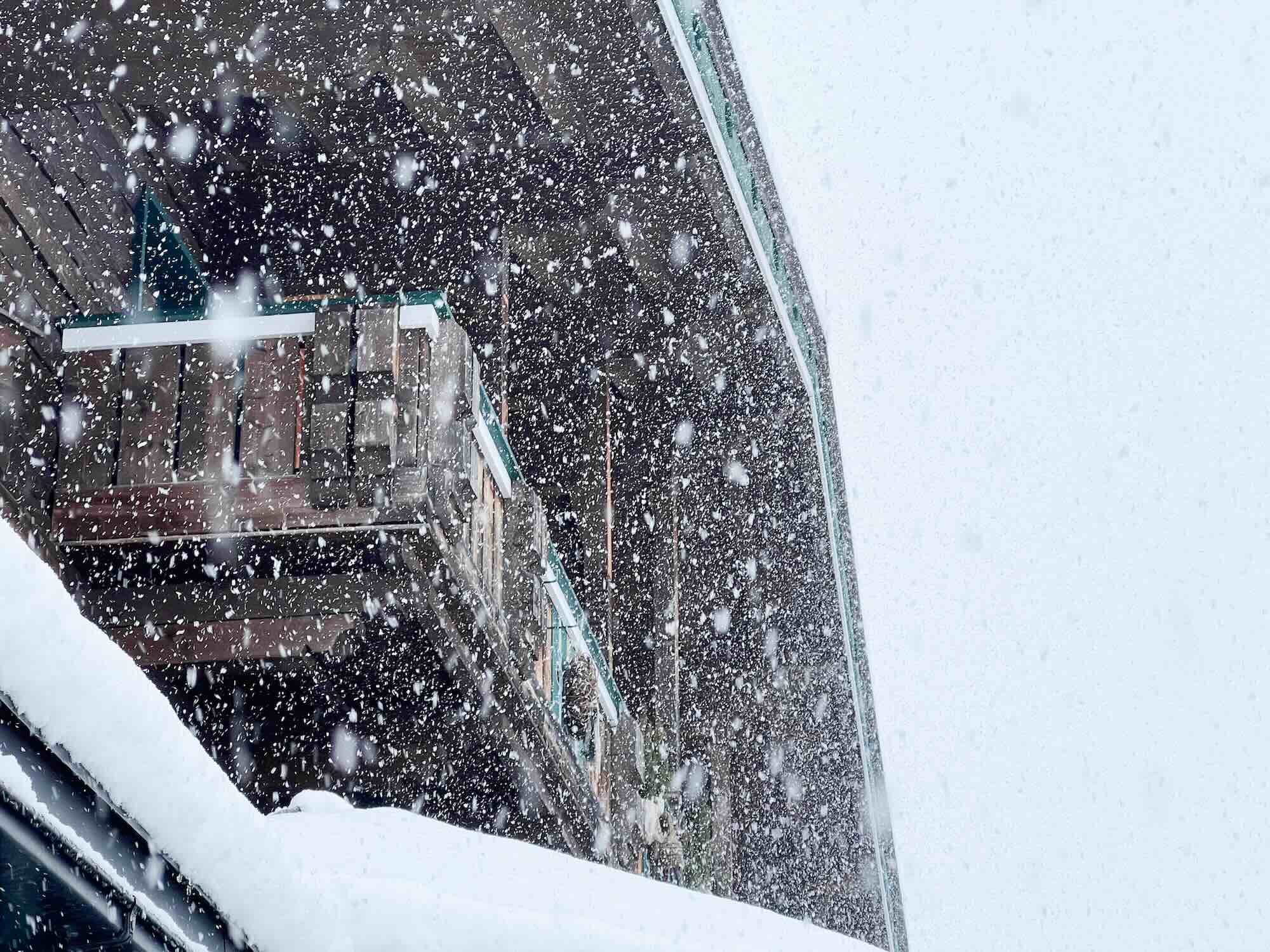 Heel Veel Sneeuw Dikke Sneeuwvlokken
