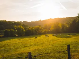 De mooiste uitzichtpunten van de Ardennen die je  op je camera wilt De mooiste uitzichtpunten van de Ardennen die je  op je camera wilt