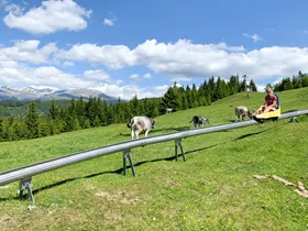 Overzicht van zomerrodelbanen in Oostenrijk Overzicht van zomerrodelbanen in Oostenrijk