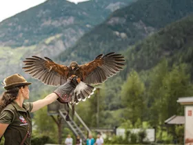 Greifvogelpark Umhausen Greifvogelpark Umhausen