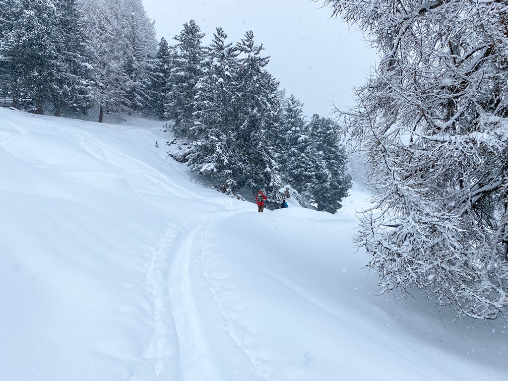 53017 - Alpenweer: eerst nog sneeuw in het zuiden, daarna koud winterweer (3)