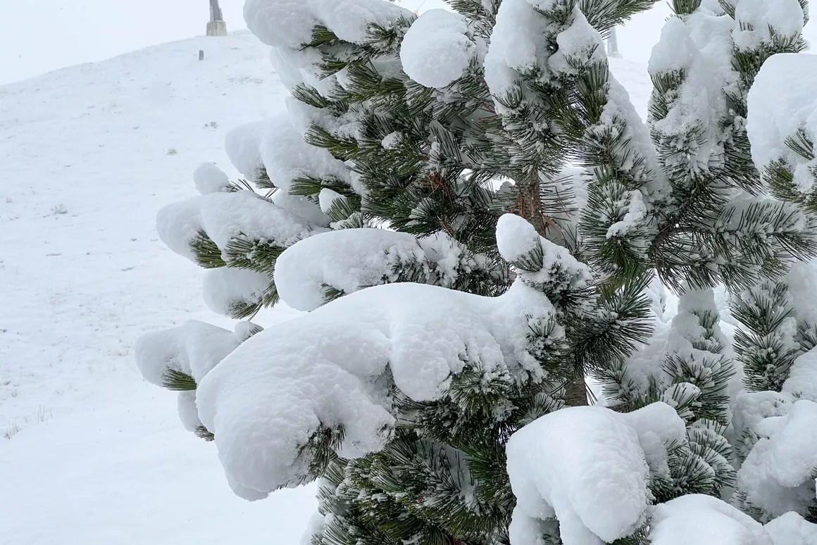 10 pictures from the insane snowfall in the Austrian Alps