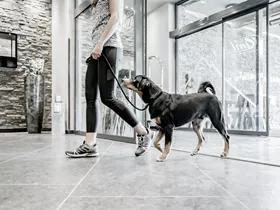 Hotel Riml Hotel Riml