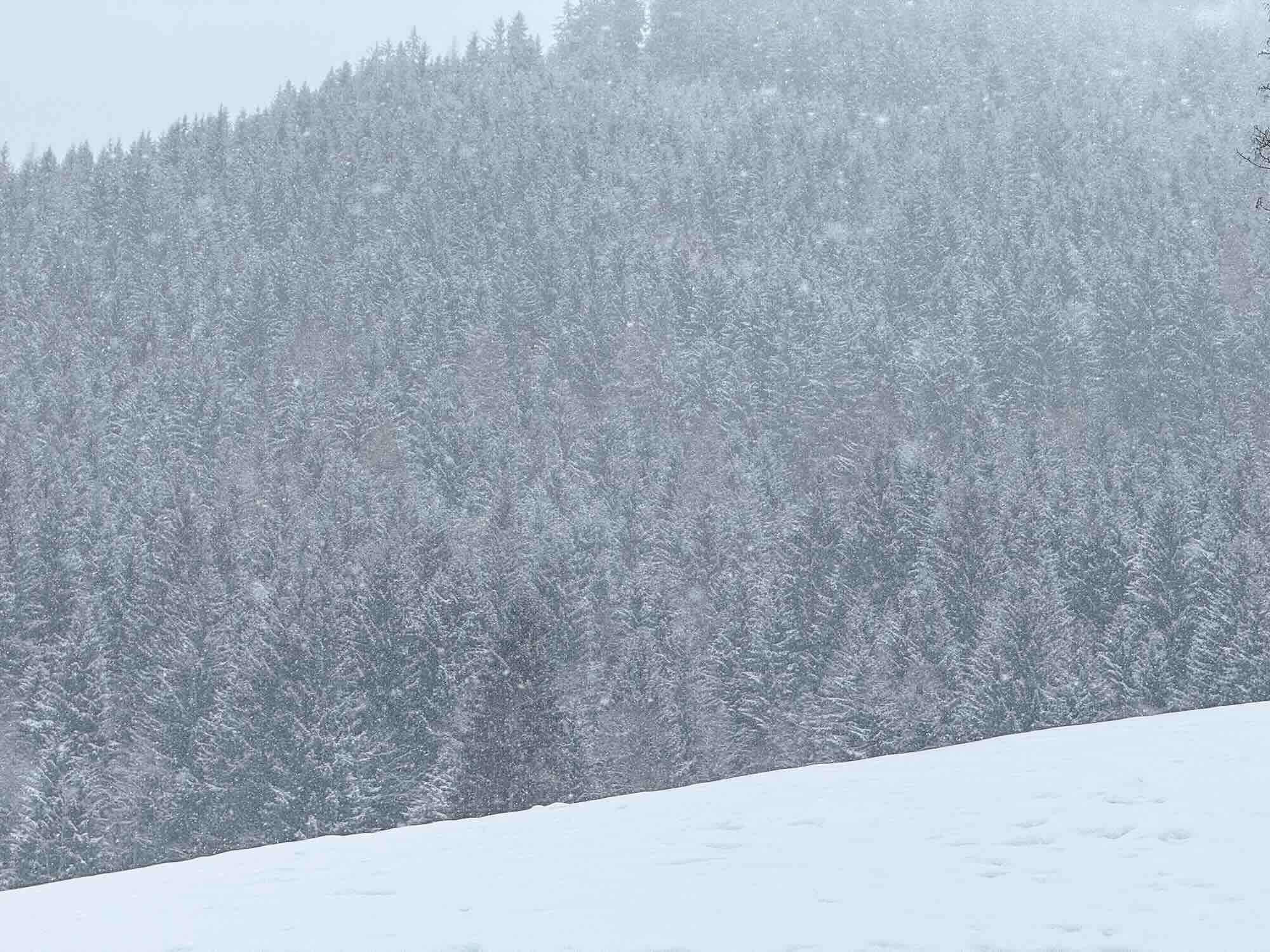 Sneeuw (4)