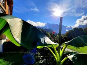 Garden Relax Garden Relax