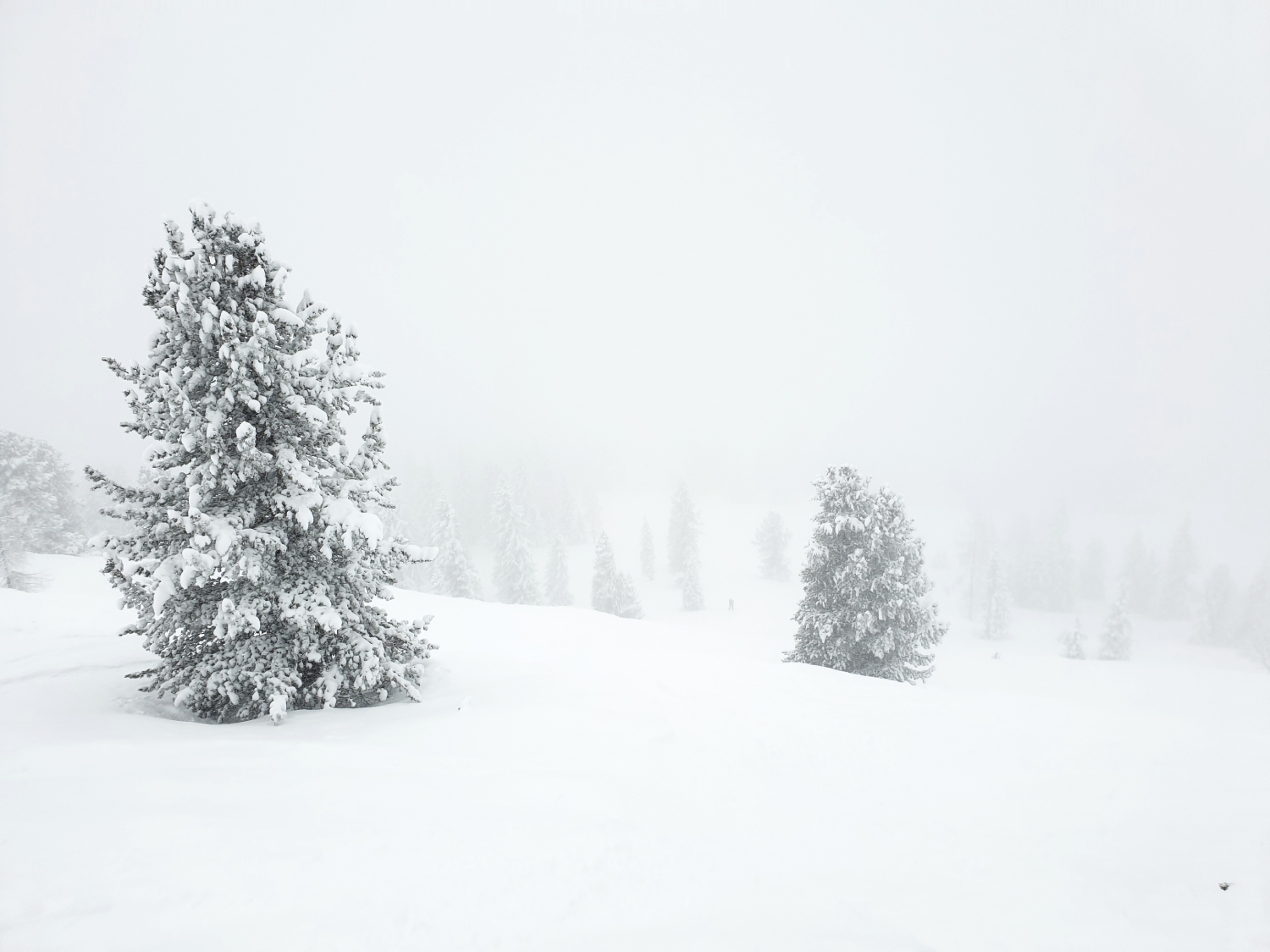 54103 - Bergwetter: Große Schneemengen für Österreich im Anmarsch (1)