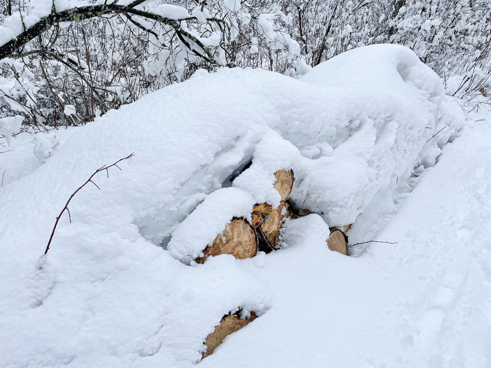 52279683482 Bfd4149718 O