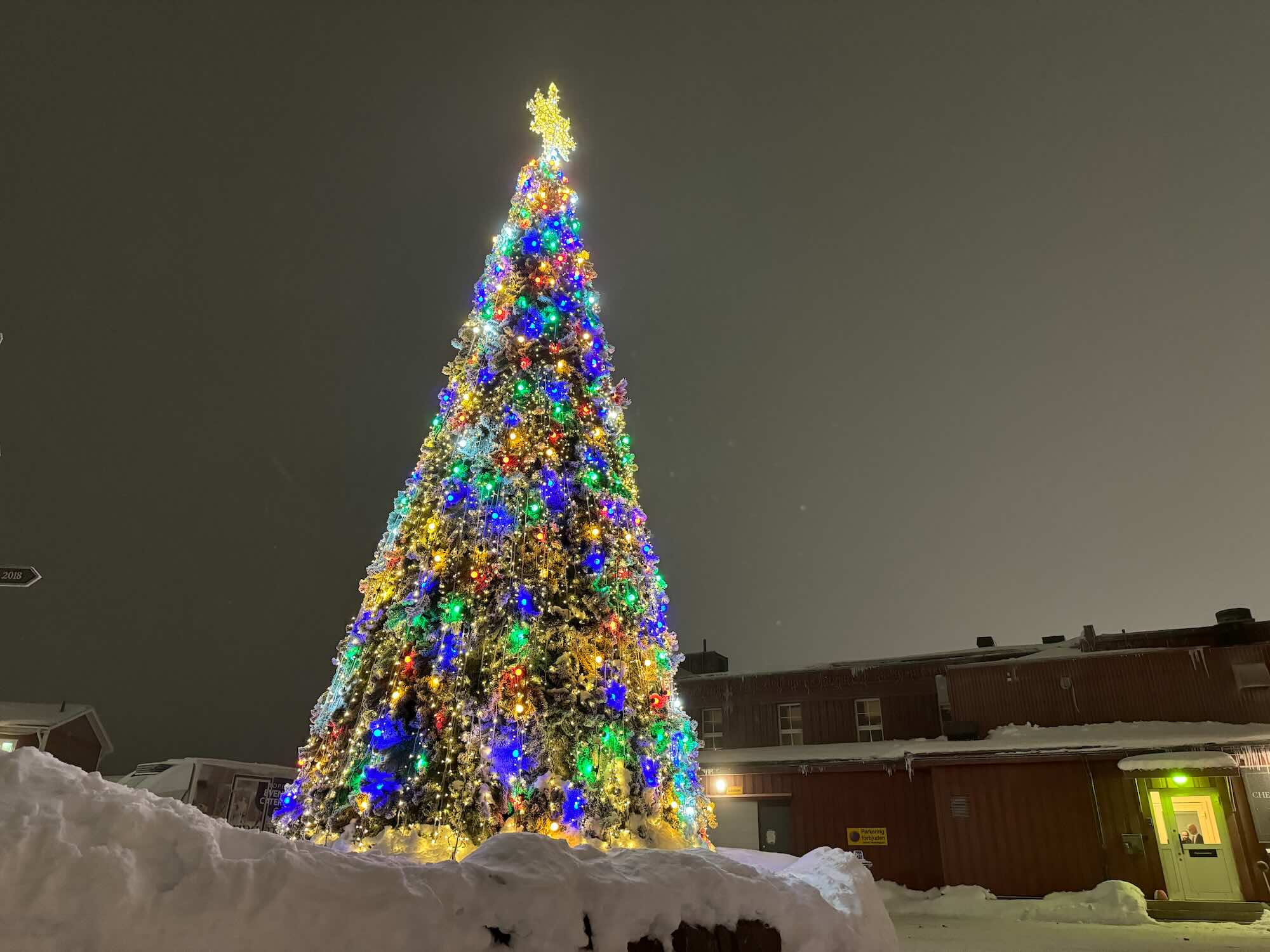 Kerstboom In De Sneeuw Witte Kerst