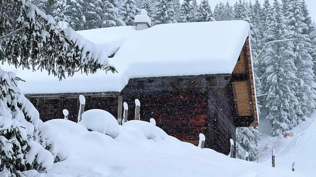 Sneeuwrijk Sneeuw Sneeuwrijk Sneeuw