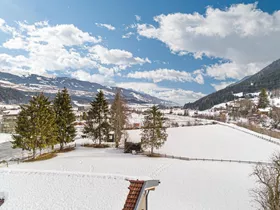 Celine Top 3 Celine Top 3