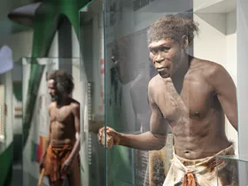 Haus der Natur Haus der Natur