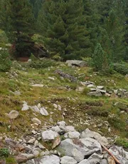 steinige Landschaft Landschaft mit Steinen