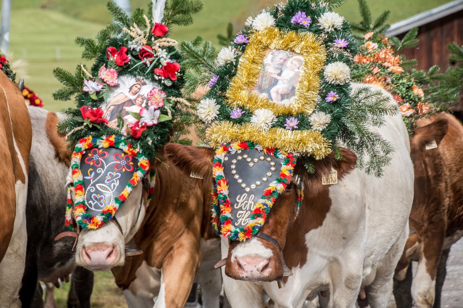 Kultur und Brauchtum: 8 Traditionen in Österreich