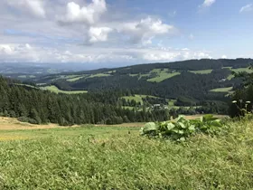 Camping Hebalm Camping Hebalm