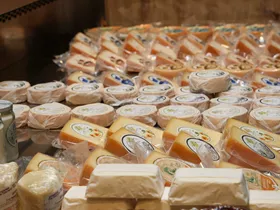 10 heerlijke kaasbestemmingen in Frankrijk 10 heerlijke kaasbestemmingen in Frankrijk